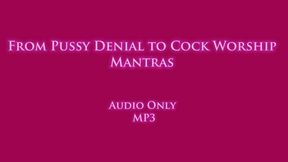 From Pussy Denial to Cock Worship Mantras - Audio Only MP3