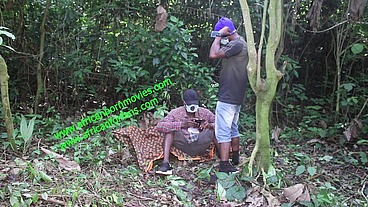 compilation of public fucking in an outdoor plantation. a live exclusively on XVIDEOS