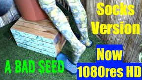 A Bad Seed - socks 1080res HD