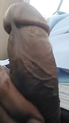 Pussy lust