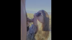 Amateur Milf Public Beach Blowjob