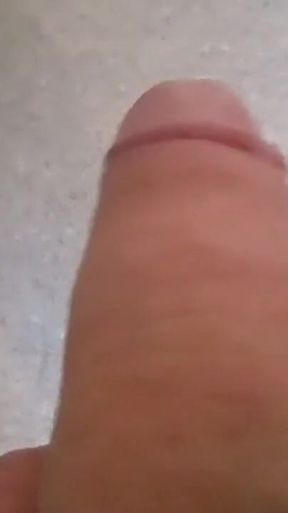 VID_20241009_084748477.mp4