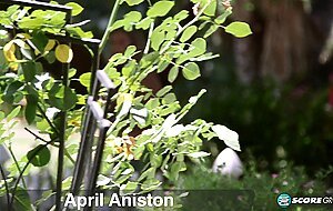 Eighteen, april aniston