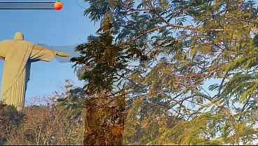 Morena do rabao engoliu meu pau com o cu