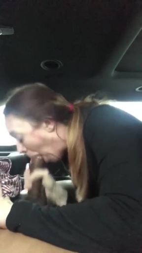 Woman in car with dog