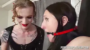 Best Xxx Clip Transsexual Nylon Clothing Great Only For You