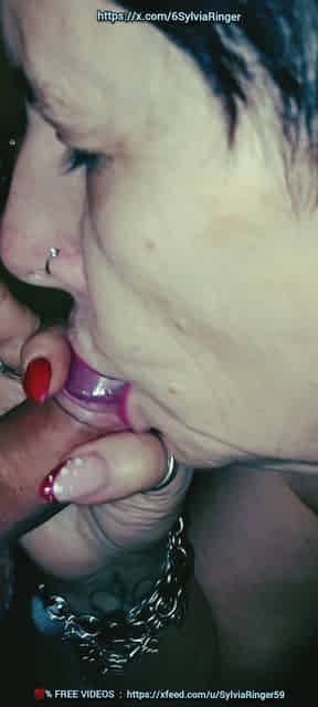 Sylvia Ringer : Cumswallows