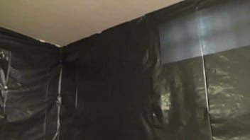 Pretty redhead gets double penetrated in the BDSM room