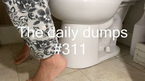 The daily dumps #311