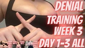 Denial Training Week 3 Day 1-3 ALL TITS