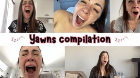 Best yawns compilation, I can't stop!!