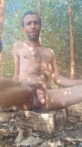 Come Eat My Ass