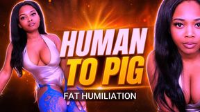 Human To Pig