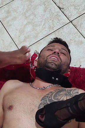 Dominatrix Domination Face Sitting Domination