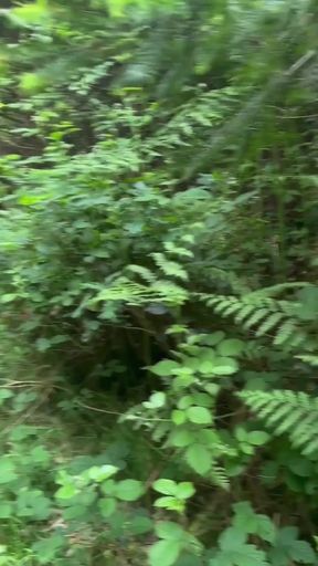 Epic moment from "Walking bare foot and naked from car for an in forest for a wank"