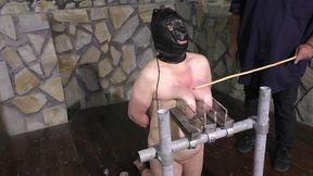 BiP Winter Special - Tit Slave Liz 24 Hours in Tit Hell - Lesson 1 - Part 2 wmv SD