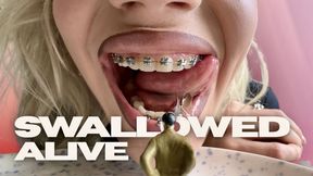 Tiny Man Swallowed Alive | SHRINKING FETISH