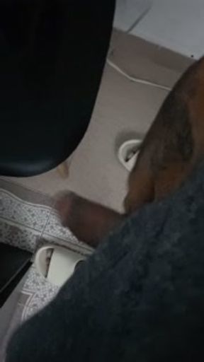 my mother-in-law wants it up the ass