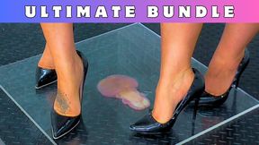 Crushing Your Cock & Balls Under Plexi & Our Work Stilettos - 181 Ultimate Bundle - Goddess Amber - Miss Lucy - Trample Trampling CBT Ballbusting