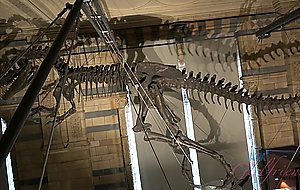 Atkgirlfriends, emma evins