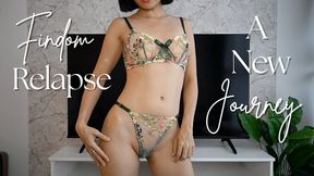 Findom Relapse - A New Journey