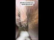 Lily Blume Back Shots PMV