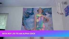 Beta Boys JOI to an Alpha Cock HD