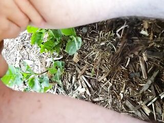 FTM Squatting Pee Outside On Plants