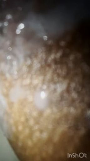 Amateur Meaty Pussy Solo Orgasms #DaPussyQueen👑