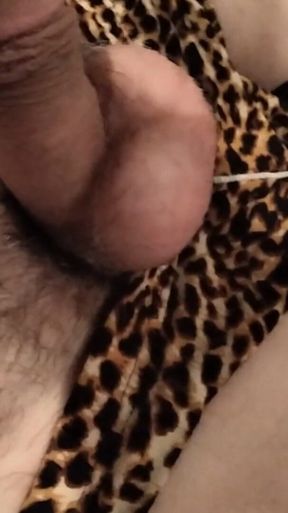 Jerking My Cock