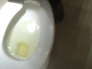 Urinating In A Stall, Again; No Audio