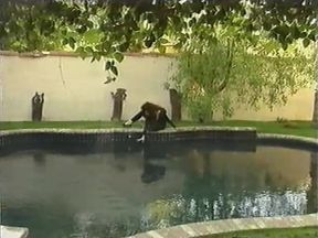 Electric Blue Special: Boobmania 2