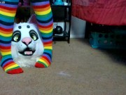 Nori gets to Taste My Rainbow Toes