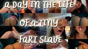 A Day In The Life Of A Tiny Fart Slave
