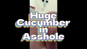 Thick cucumber anally inserted