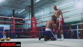 Alphamales - Sweaty Gay Threesome at the boxing club