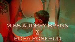 Lesbian Toilet Licking, Pee & Head Flushing Humilation