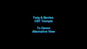 To Dance Alternative View