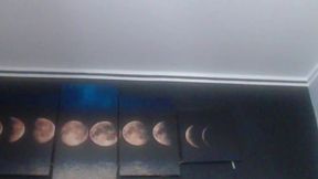 Jenny Carters Members-Only Show