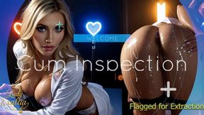 Cum Inspection Cum Sample #001