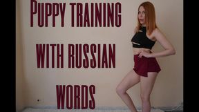 Puppy training with russian words