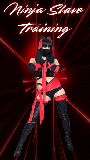 Ninja's Shadow Slave Training