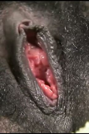 Masturbation