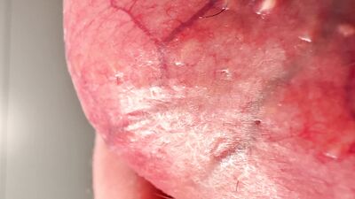 Close-up testicles massaging until big cumshot