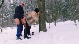 в зимнем лесу