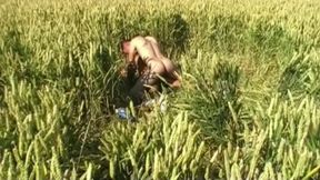 Sexy french twinks fuck in exhib outdoor park