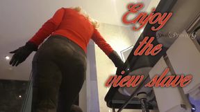 Enjoy the View, slave!