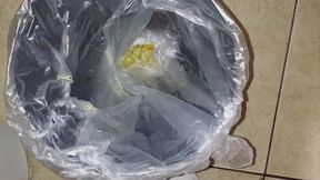 Public Diner Bathroom Trash Can Pee Destruction