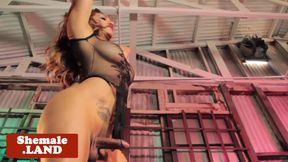 Busty ts babe wanks her cock energetically