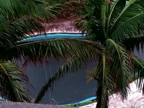 Sultry Erika Kitagawa Gives A Blowjob And Tit Fuck Outdoors